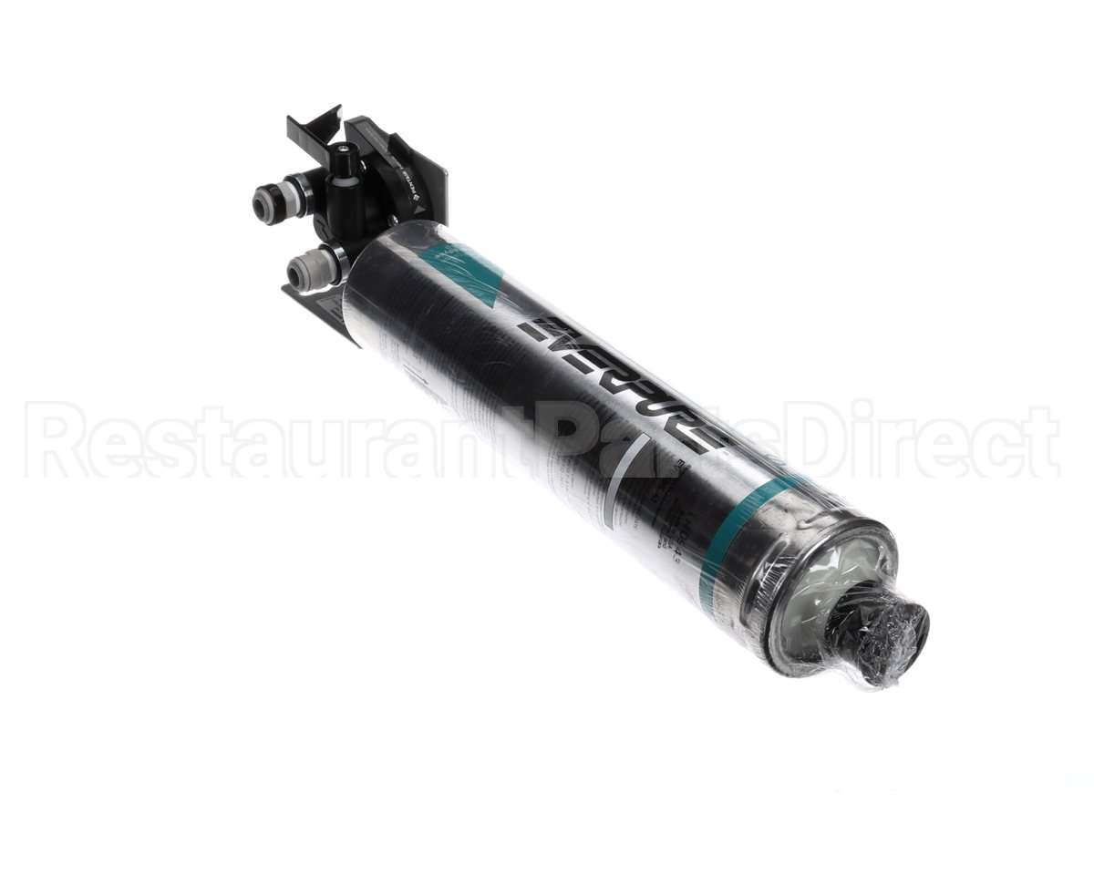 EV9298-20 Everpure 4Fc-P Ql3B