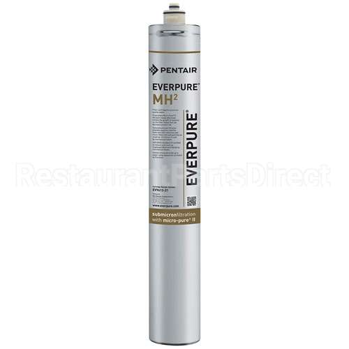 EV9613-21 Compatible Everpure Filter Inmhin