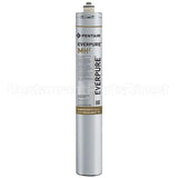 EV9613-21 Compatible Everpure Filter Inmhin