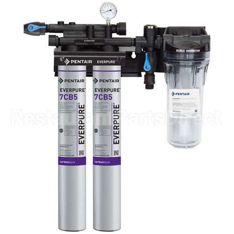 EV979722 Compatible Everpure Kleensteam Ii Twin System