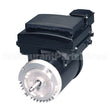 EVSJ3-NS US Motors Nidec Pool And Spa Pump Motor