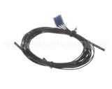 EX08700-19 Eemax Thermistor