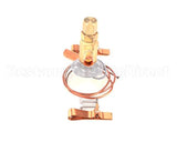 F0530 Frosty Factory Valve, Expansion, 2 Gal.