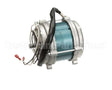 F3010212 Univex Motor13Hp 115V5060 For 7510 & 7512