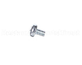 F528 Garland Screw M4 X 6Mm Hex Hd