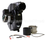 FB-RFB145 Rotom Motors