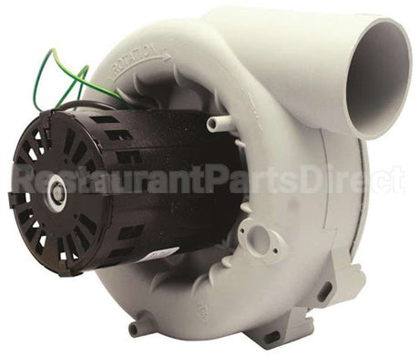 FB-RFB181 Rotom Motors
