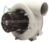 FB-RFB181 Rotom Motors