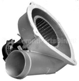 FB-RFB241 Rotom Motors