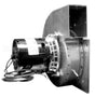 FB-RFB250 Rotom Motors