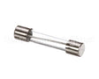 FE-022-29 Hobart Fuse