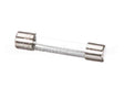 FE-022-39 Hobart Fuse
