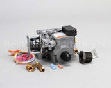 FK113049 Cleveland Kit,Replacement,2-Stage Gas Va