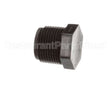 FP01-009 Henny Penny Pipe Plug