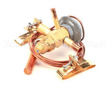 FR6851940 Beverage Air Valve Txv