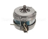 G00151 Globe Motor