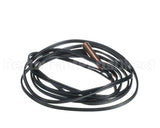 G100-70289342 Intl Environmental Corp Thermostat 68671 Sensor Probe