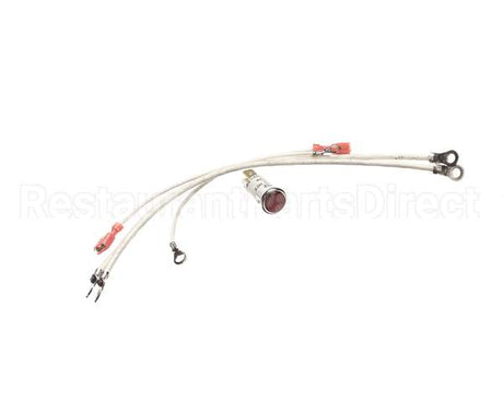 G2-156111 Star Pilot Light Assem
