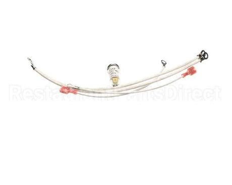 G2-156111 Star Pilot Light Assem