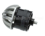 GDLDOME2000 Drain Lock 2In Dome D-Lock