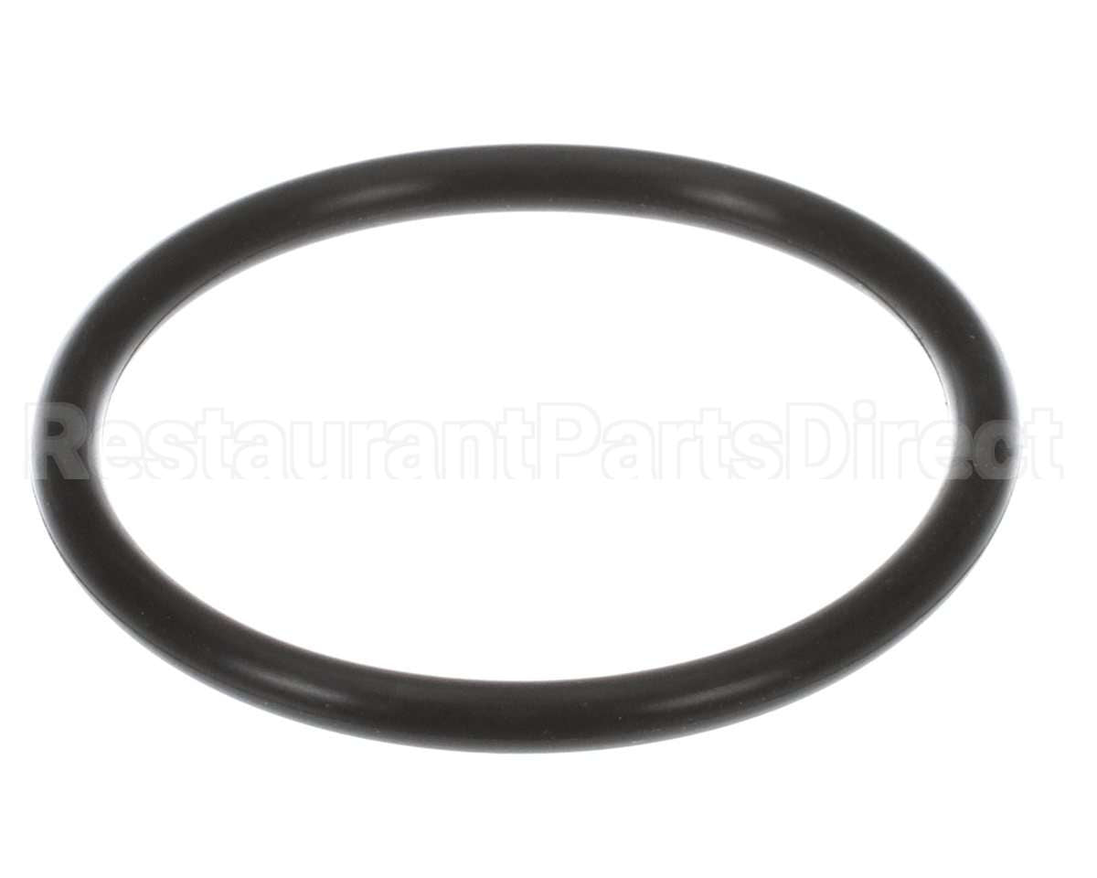 GS-39486 Alto Shaam Gasket