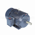 GT1134A Marathon Motor