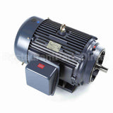 GT1239A Marathon Motor