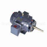 GT2459 Marathon Close Coupled Pump Motor