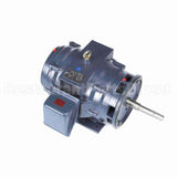 GT2465 Marathon Close Coupled Pump Motor