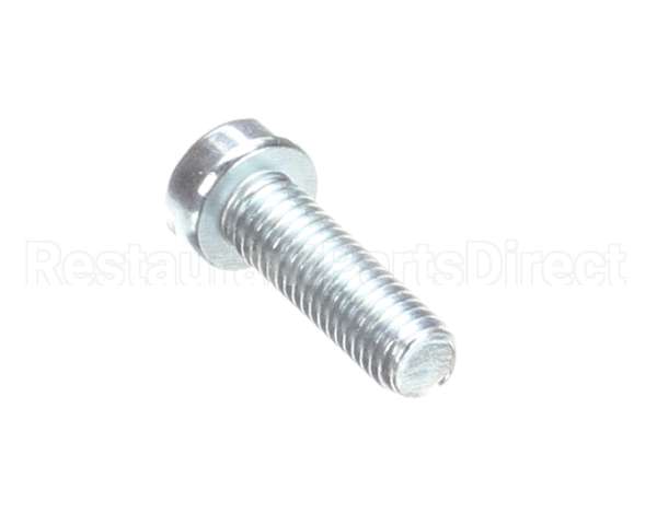 H00187 Globe Screw, Cheese Head