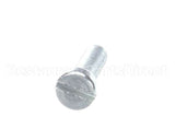 H00187 Globe Screw, Cheese Head
