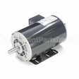 H803 Marathon Motor