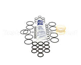 HC121729-01 Electrofreeze Kit-Quaterly Arbys Cs704