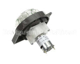 HC169101 Electrofreeze Pump-Peristaltic Syrup 24Vdc