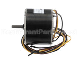 HC39GE238 Bryant Payne Motor