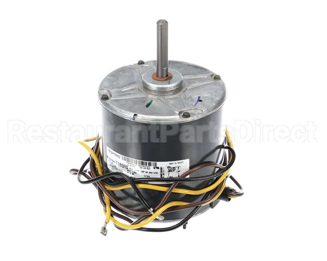 HC39GE239 Bryant Payne Motor