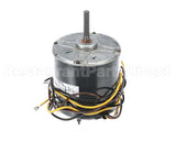 HC39GE239 Bryant Payne Motor