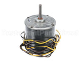 HC39GE239 Bryant Payne Motor