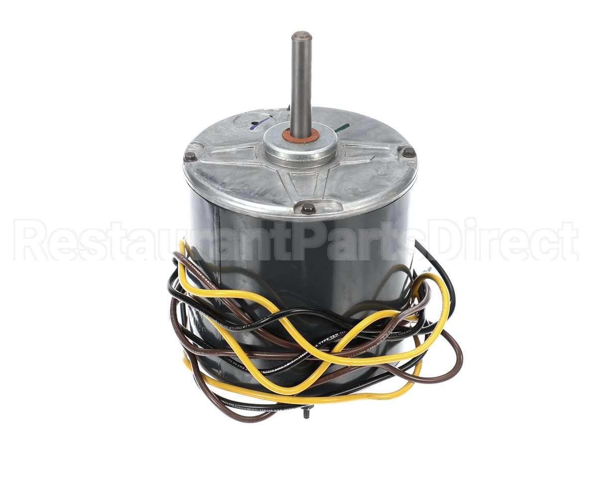 HC39GE239 Bryant Payne Motor