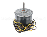 HC39GE239 Bryant Payne Motor