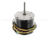 HC40AQ231 Bryant Payne Motor