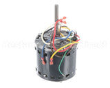 HC43AE115 Bryant Payne Motor