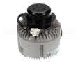 HC46JQ230 Bryant Payne Motor, Blower