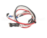 HCT-4086-2 Turbochef Wire Harness, Ssr To Distribut