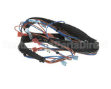 HCT-4386-1 Turbochef Harness, Hct, Main Line Voltag