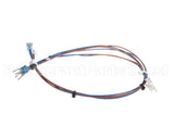 HCT-4386-5 Turbochef Harness, Hct, Main Line Voltag