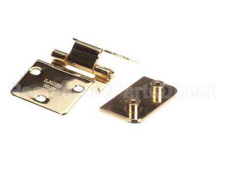 HG-28788 Alto Shaam Hinge,Door,Gold Plated Hg27520