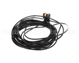 HH18HB031 Bryant Payne Freeze Thermostat