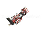 HHB-8311.B Turbochef Wiring Harness, Lo-Voltage, Main