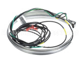 HTR15171 Trane Crankcase Htr,240V,70W,62"Lead